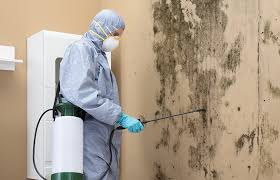 Best Mold Prevention Services in Hopatcong, NJ